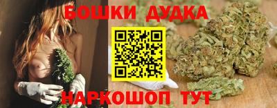 МДПВ Бердск