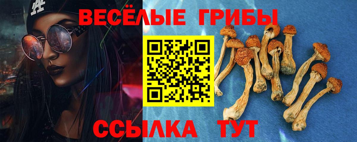 Псилоцибиновые грибы Cubensis Белогорск